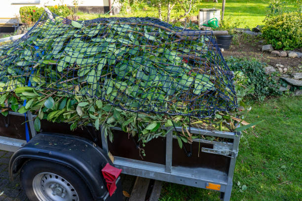 Best Dumpster Rental Services  in Tenino, WA